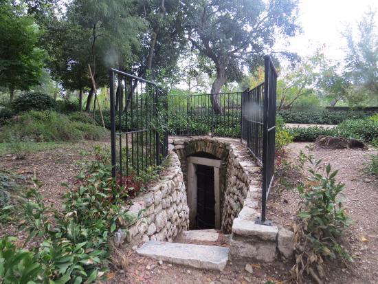 Queen Jelena Madijevka Park